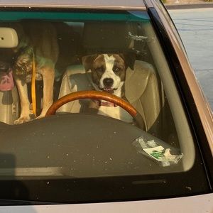 Meet your Posher, Mark